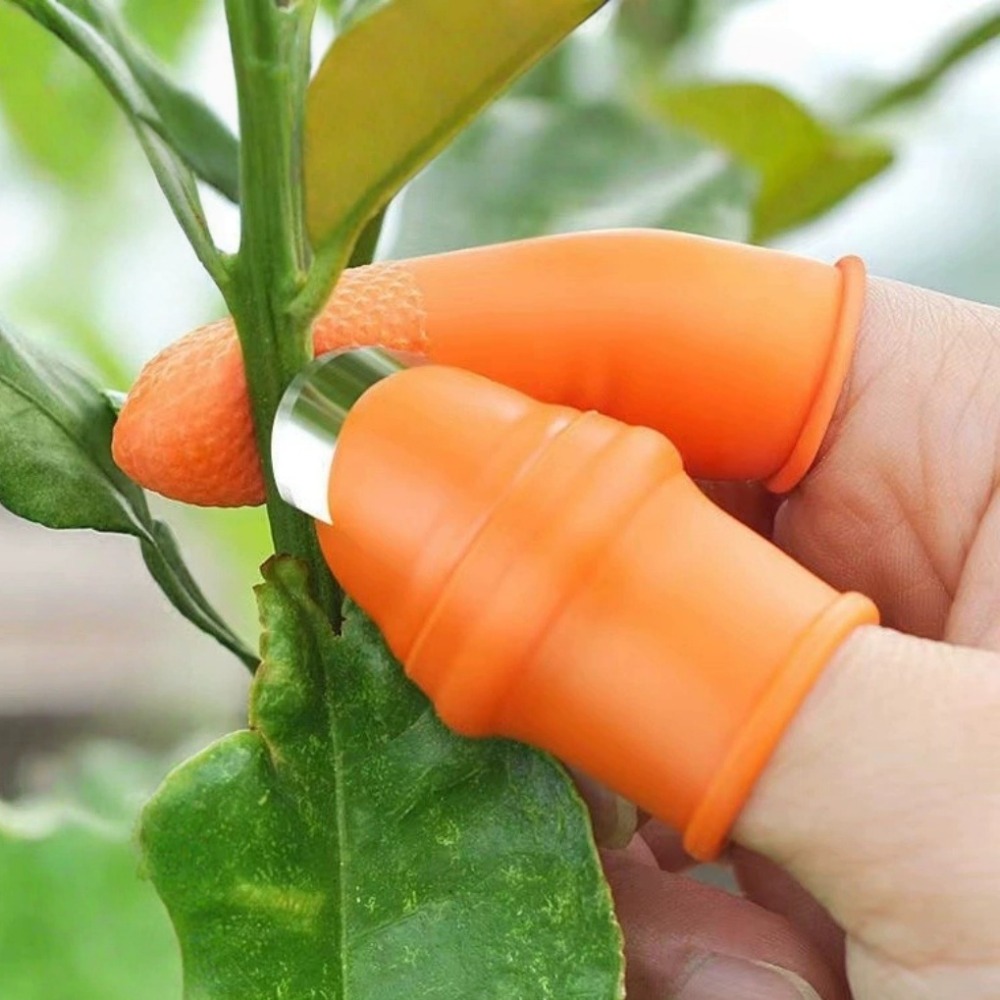Vegetable Picking Stainless St - Harvest Knife Garden บทวิจารณ์และราคา
