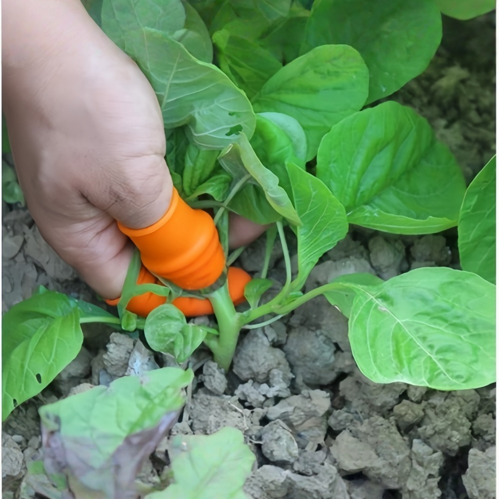 Vegetable Picking Stainless St - Harvest Knife Garden บทวิจารณ์และราคา